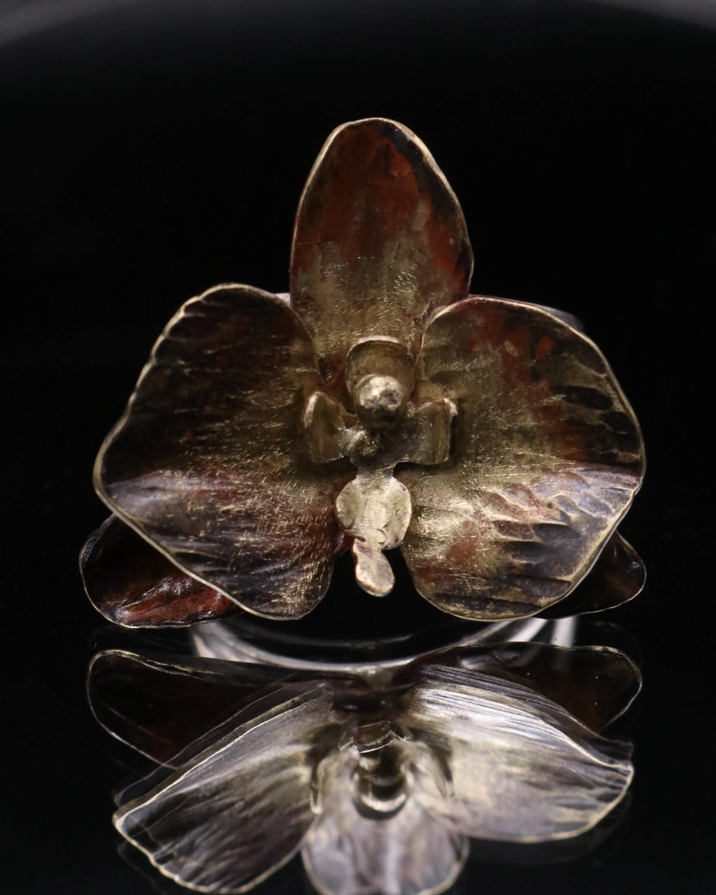 ORQUÍDEA