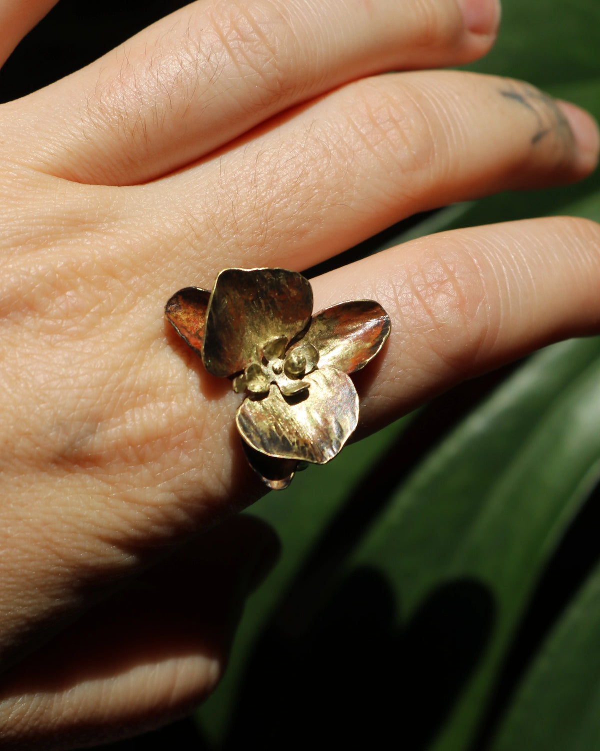 ORQUÍDEA