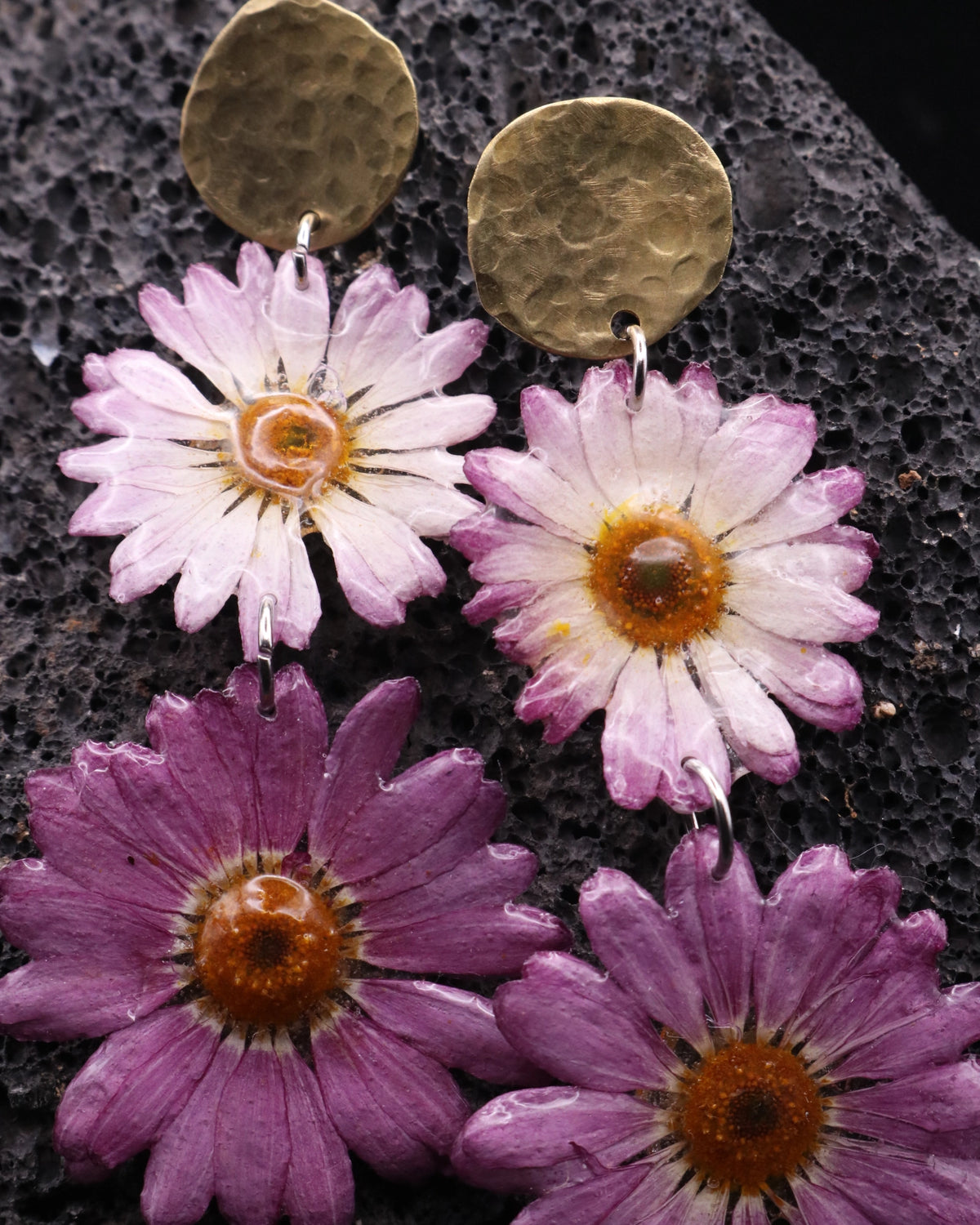 MARGARITAS MALVA