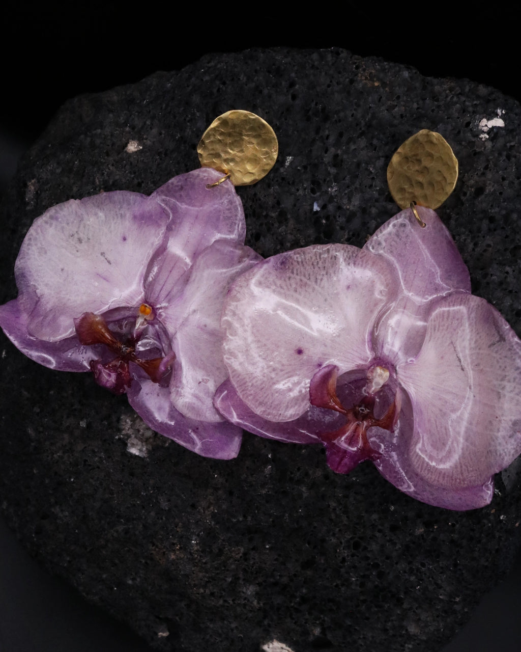 ORQUÍDEA MALVA