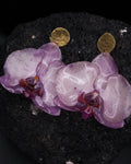ORQUÍDEA MALVA