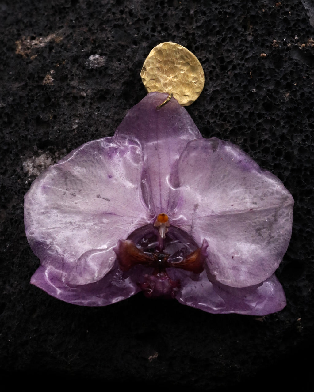 ORQUÍDEA MALVA