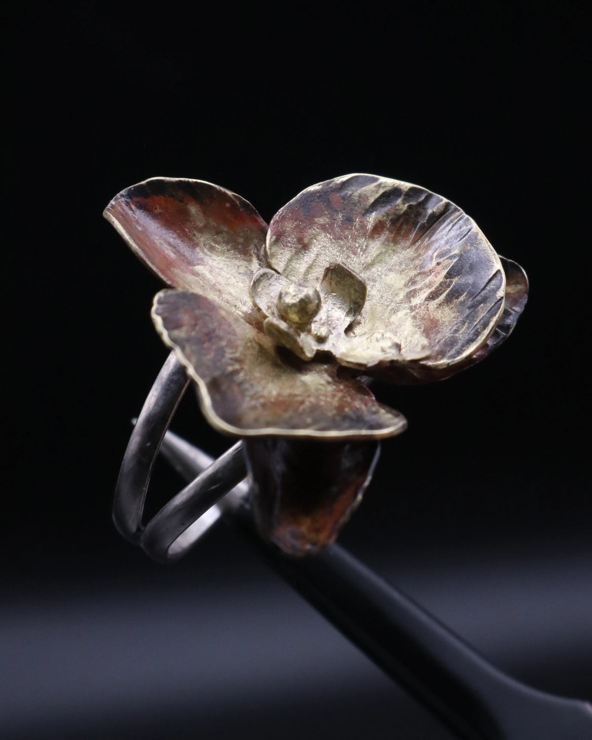 ORQUÍDEA