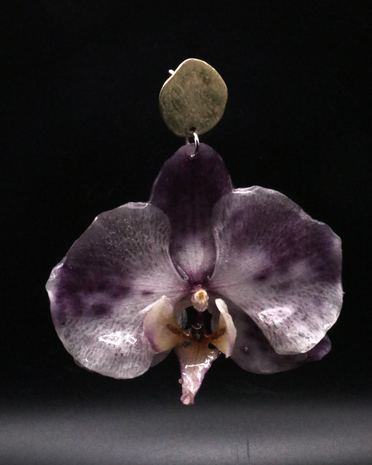 ORQUÍDEA TINTA