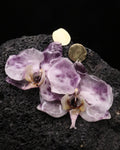ORQUÍDEA TINTA
