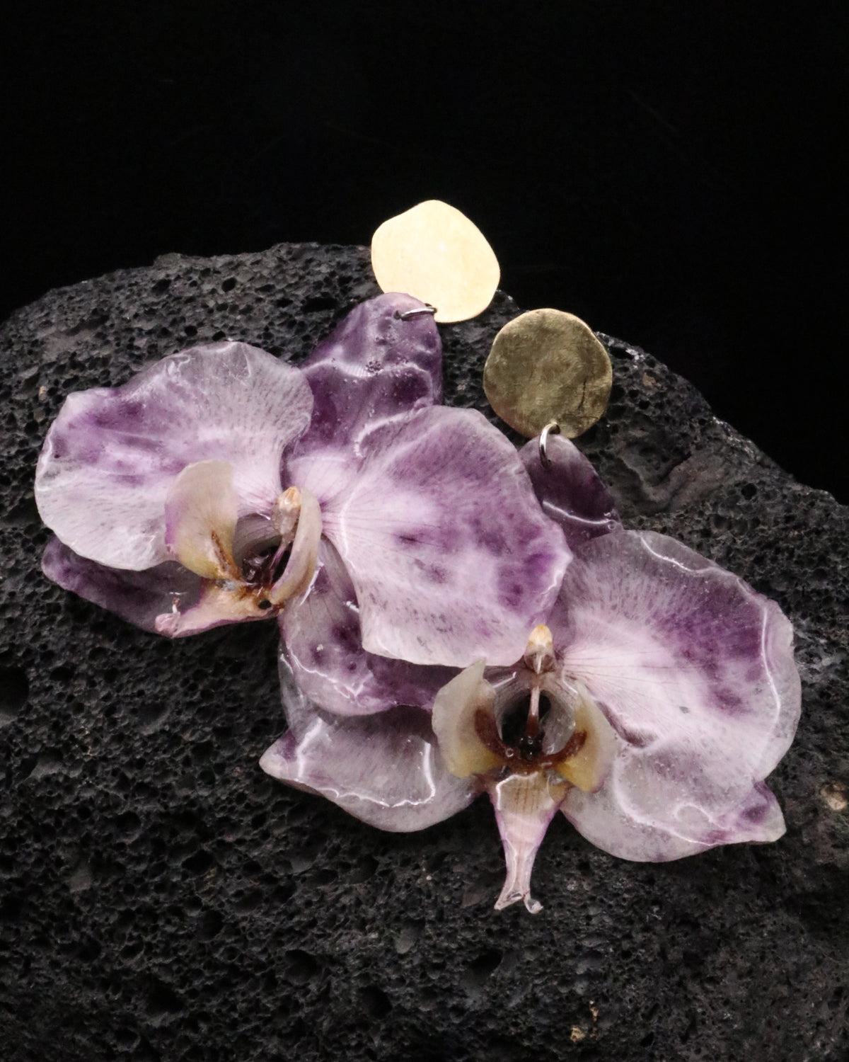 ORQUÍDEA TINTA